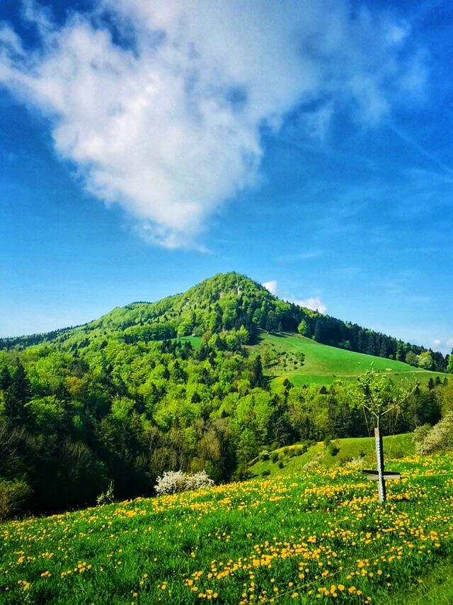 Kreuz